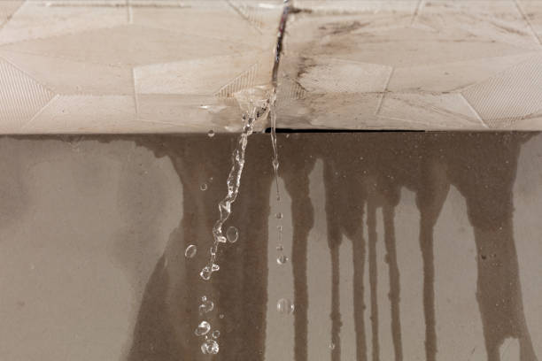 Professional Water Damage Repair technician working in Ithaca, MI